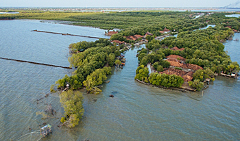 dws-bwn-demak-bedono-aerial-350px