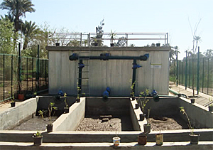 dws-egypt-platform-wwtp-in-egypt-300px