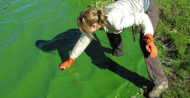 dws-wur-rethink-water-scarcity-algea-bloom-770px-1
